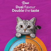 Whiskas 1+ Duo Surf & Turf in Jelly