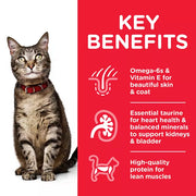 Hill's Science Plan Adult Lamb and Rice Cat Food