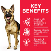 Hill's Science Plan Mature Large Breed Chicken Dog Food