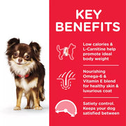 Hill's Science Plan Adult Light Small and Mini Chicken Dog Food