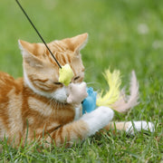 Petface Dream Big Teaser Cat Toy