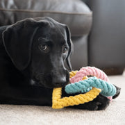 Petface Rope Hearts Dog Toy
