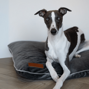 Ralph & Co Luxury Memory Foam Crate Bed With Removable Covers - Grey
