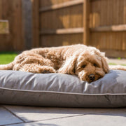 Ralph & Co Luxury Memory Foam Crate Bed With Removable Covers - Grey
