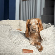 Ralph & Co Luxury Boucle Bed