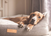 Ralph & Co Lincoln Luxury Tweed Bolster Bed