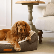 Ralph & Co Lincoln Luxury Tweed Bolster Bed