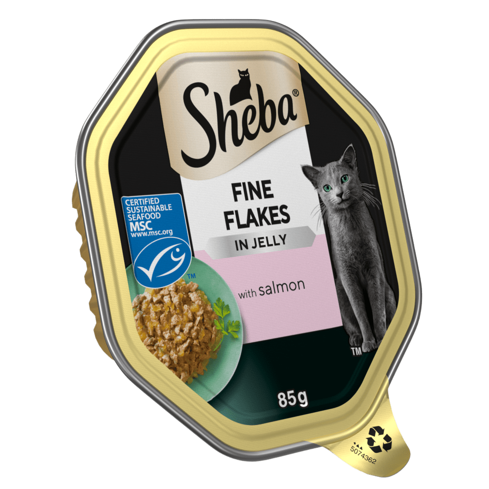 Sheba Fine Flakes Tray Salmon in Jelly 22x85g