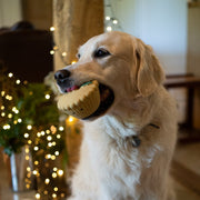 Petface Misha Mince Pie Latex Christmas Dog Toy