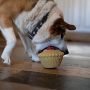 Petface Misha Mince Pie Latex Christmas Dog Toy
