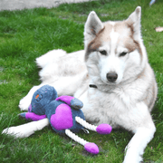 Rosewood Mister Twister Ruby Rabbit Dog Toy