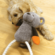 Rosewood Mister Twister Teddy Twist Dog Toy