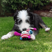 Rosewood Mister Twister Tilly Teddy Dog Toy 20cm