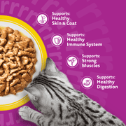 Whiskas 1+ Poultry Feasts in Gravy