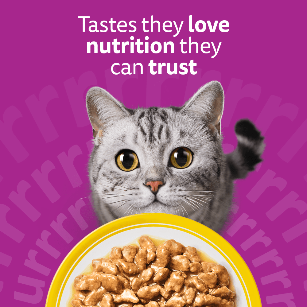 Whiskas 1+ Poultry Feasts in Gravy