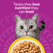 Whiskas 1+ Poultry Feasts in Gravy