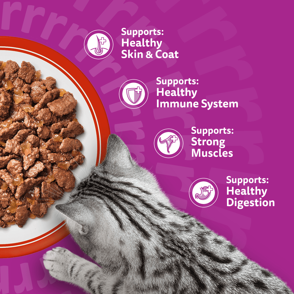 Whiskas 1+ Meaty Meals in Jelly