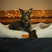 Ralph & Co Highclere Luxury Memory Foam Bolster Bed