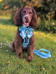 Otterly Lovely Sailor bow 🦦💙