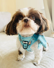 Otterly Lovely Step-In Adjustable Dog Harness