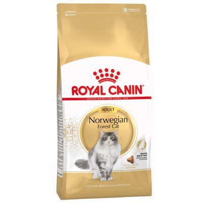 ROYAL CANIN® Norwegian Forest Adult Cat Food