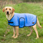Benji & Flo Cooling Dog Coat Blue