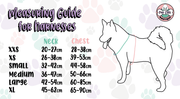 Peacock Power Adjustable Dog Harness - hot pink peacock feather dog harness