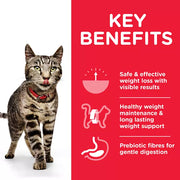 Hill's Science Plan Perfect Weight Adult Chicken Cat Food