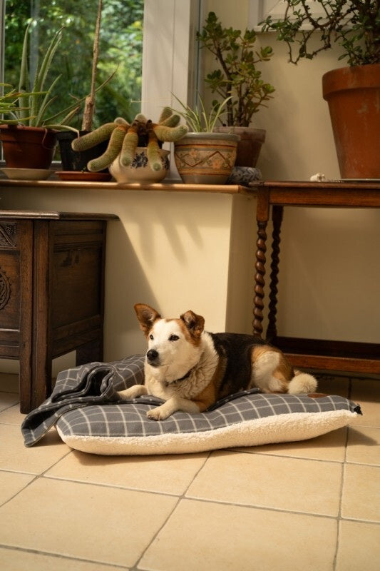 Petface Grey Window Pane Check Pillow Medium Dog Mattress