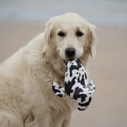 Petface Planet Sienna Seal Dog Toy