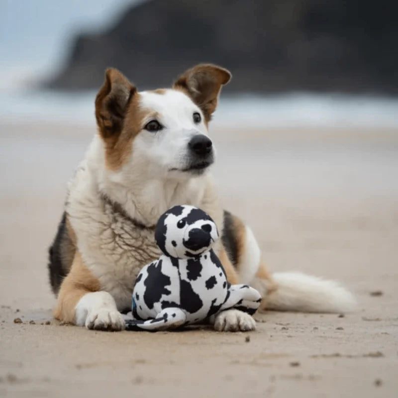 Petface Planet Sienna Seal Dog Toy | Joii Pet Shop