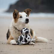 Petface Planet Sienna Seal Dog Toy
