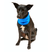 Petface Cooling Pet Bandana