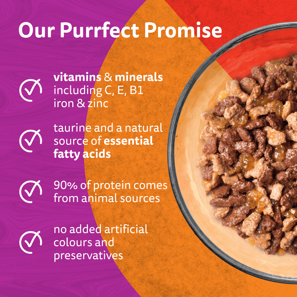 Whiskas 1+ Duo Meaty Combos in Jelly