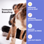 DotDotPet Multifit Gummies Dog
