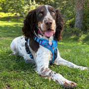 Power Peacock Tactical Dog Harness – No Pull & Fully Adjustable