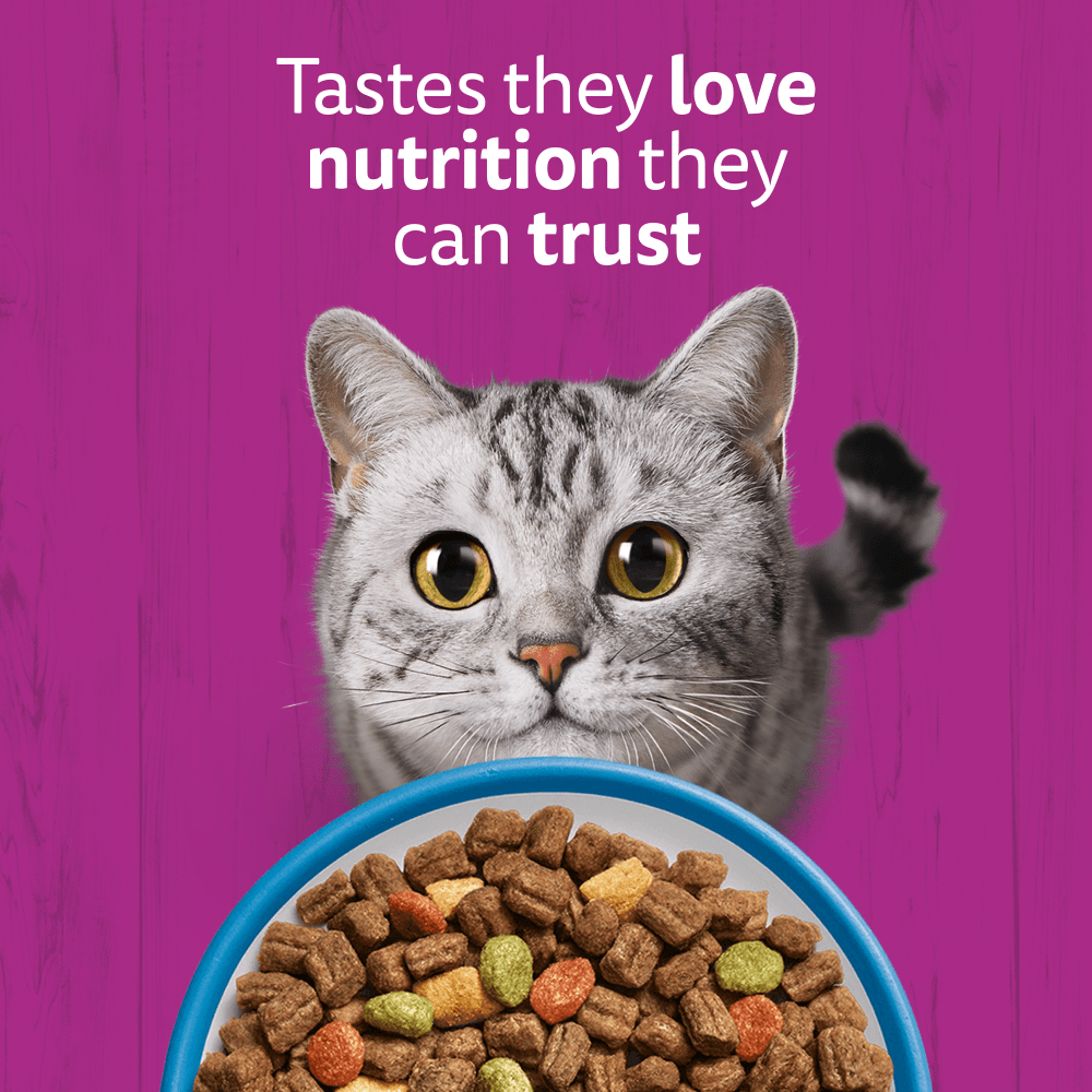 Whiskas 1+ Complete Tuna Dry Food