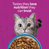 Whiskas 1+ Complete Tuna Dry Food