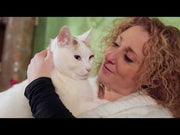 How to use FELIWAY Classic Spray