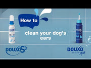 How to clean your dog's ears with DOUXO