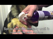 Leucillin Antiseptic Skincare - how to use