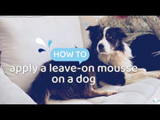 DOUXO S3 / DOUXO SPA - how to apply a leave-on mousse on a dog