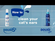 How to clean your cat's ears with DOUXO