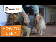 How to use ThunderShirt in 3 easy steps