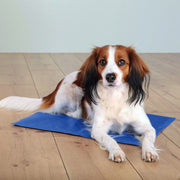Trixie Pet Cooling Mat Blue
