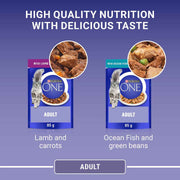 PURINA® ONE Mini Fillets Ocean Fish and Lamb Wet Cat Food