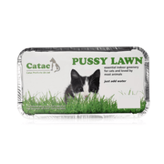 Catac Pussy Lawn Indoor Cat Grass