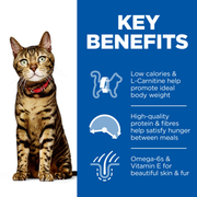 Hill's Science Plan Premium Adult Wet Cat Food with Ocean Fish