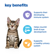 Hill's Vet Essentials Multi-Benefit Kitten Chicken Wet Food