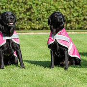Waterproof Dog Coat - Raspberry